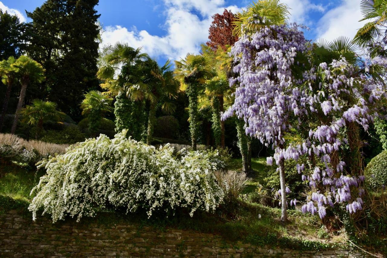 Belle Ile Lake View Suite Cadenabbia Bagian luar foto